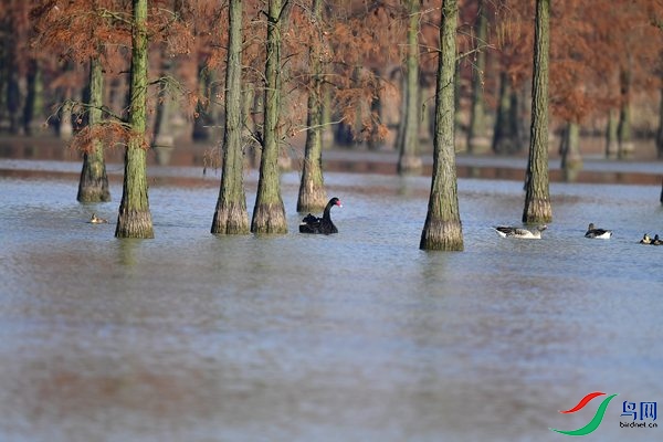 _DSC7129.jpg