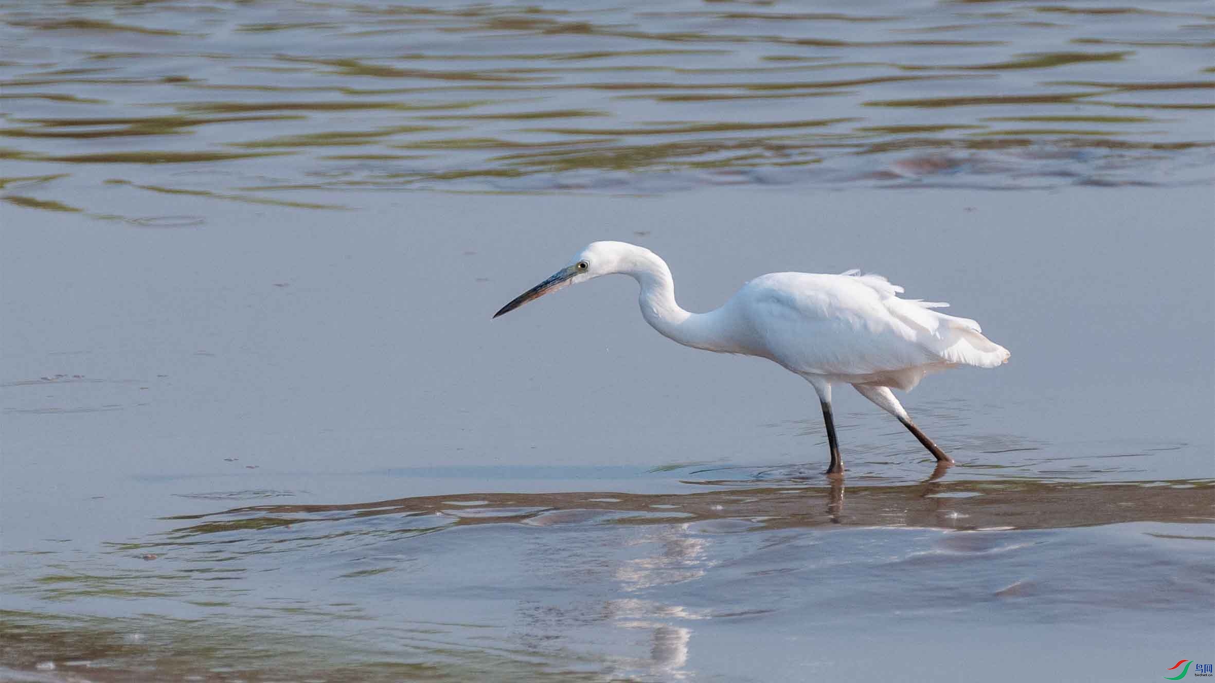 DSC_2280-3 - ���� (2).jpg