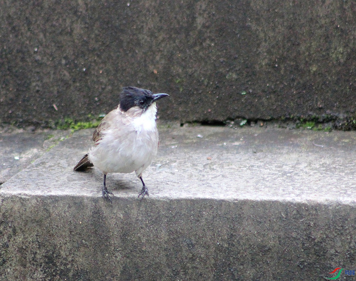 IMG_0008.jpg