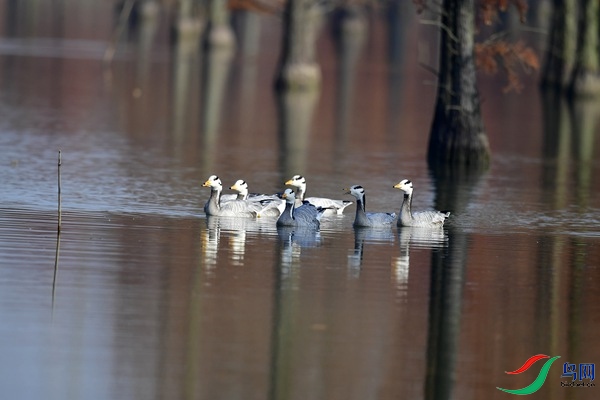 _DSC6853.jpg