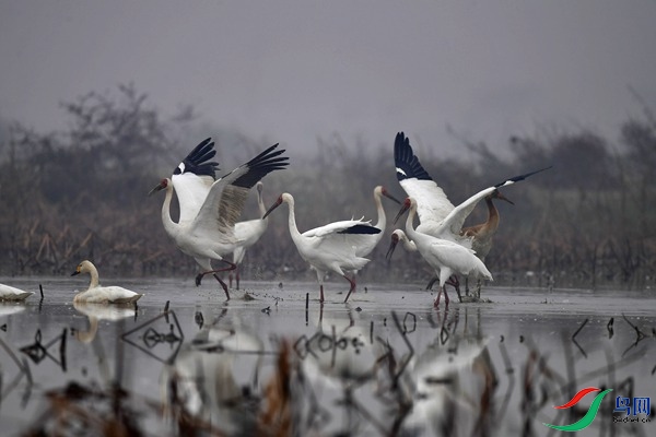 _DSC7467.jpg