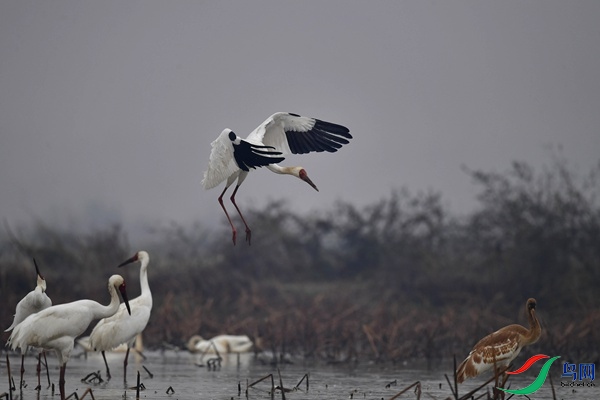 _DSC7685.jpg