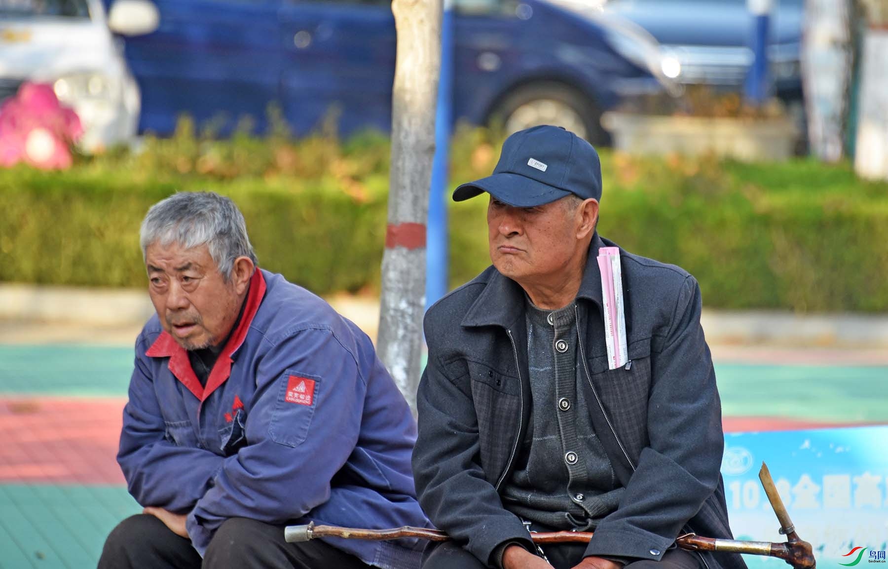 DSC_3297fb-5.jpg