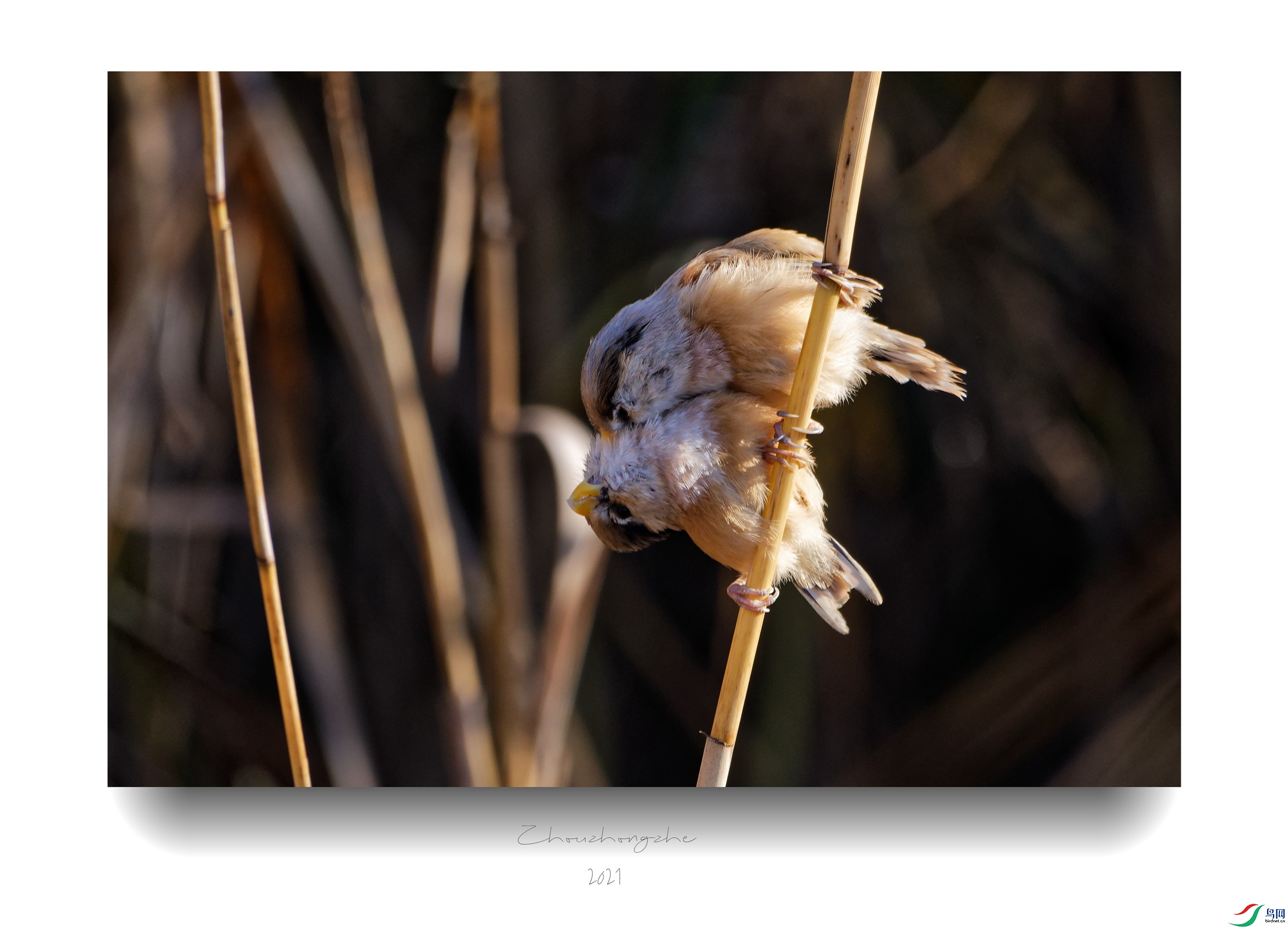 DSC_8782_DxO_����.jpg