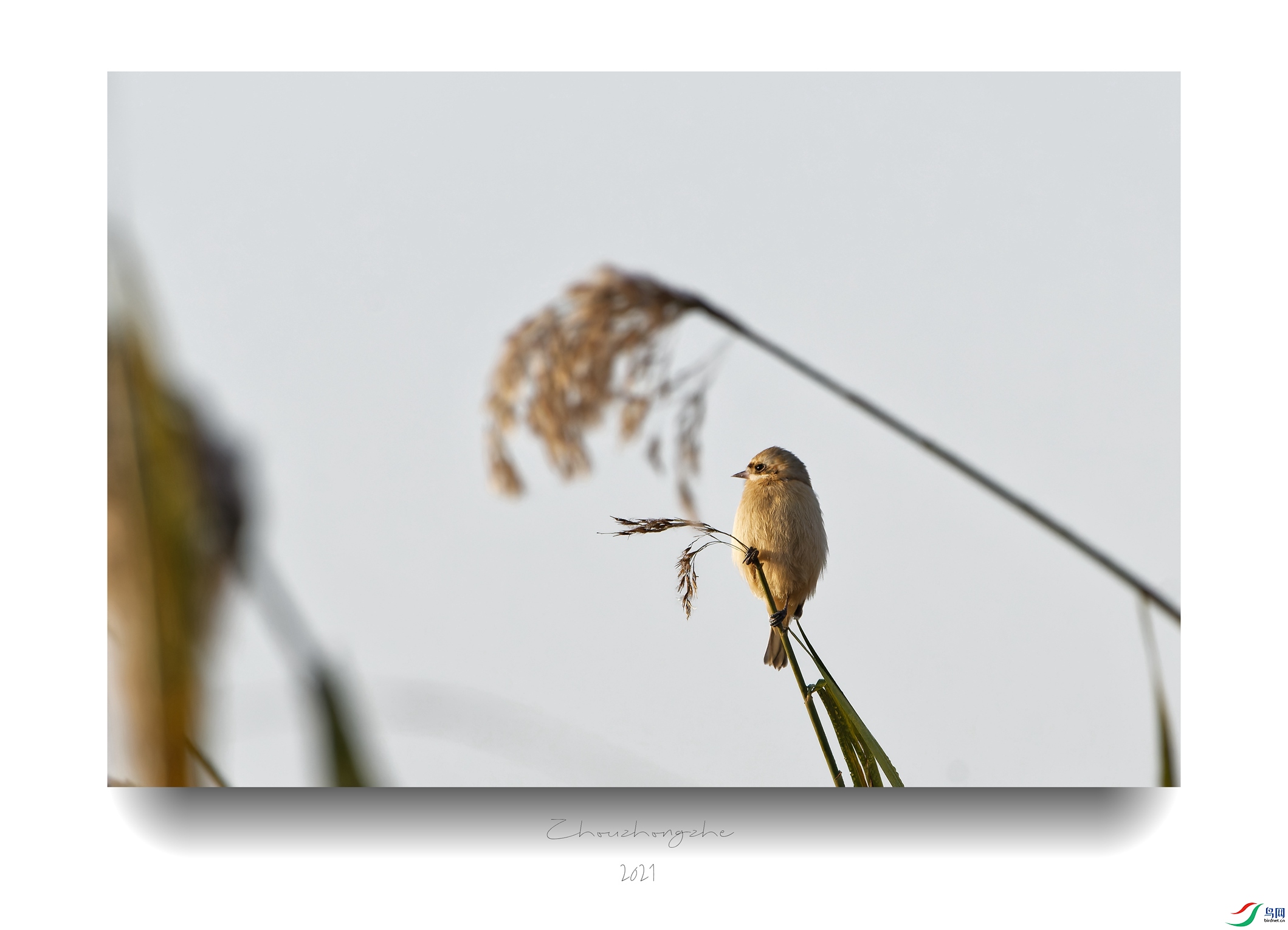 DSC_8281_DxO_����.jpg