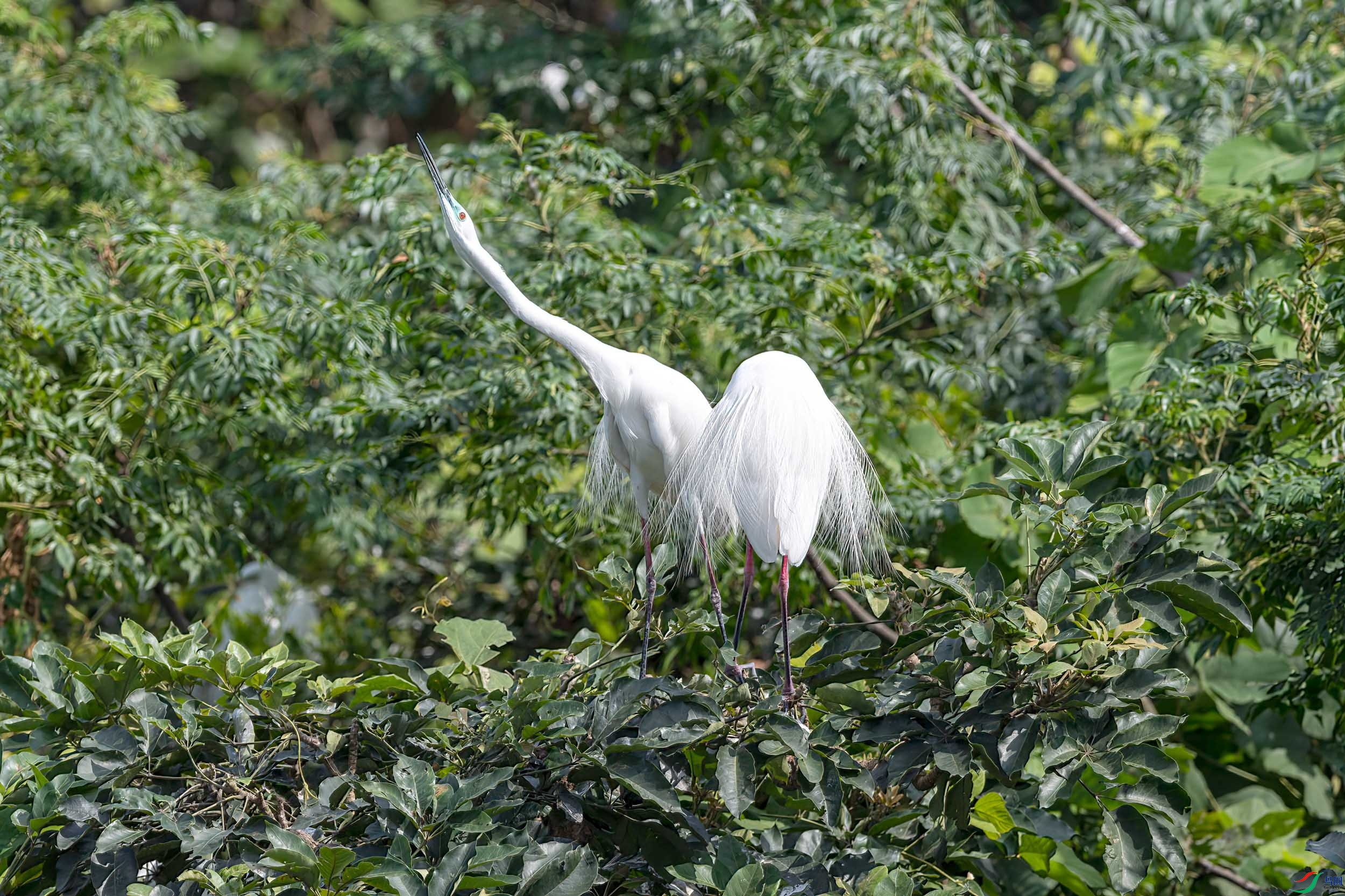 DSC_0093_3.jpg