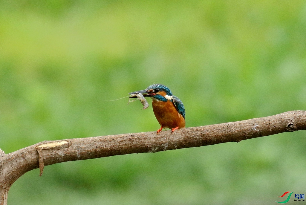 367A3092 (2)_����.jpg