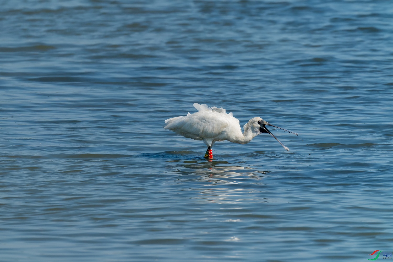 A9D01747-049.jpg