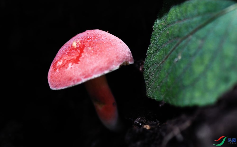DSC_5788_����.jpg