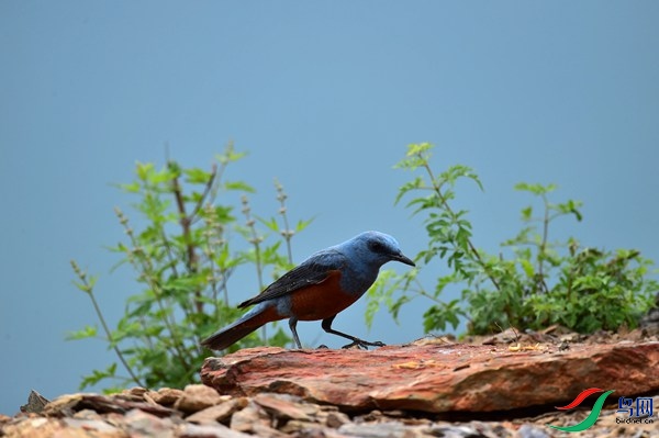 File0000051220.jpg