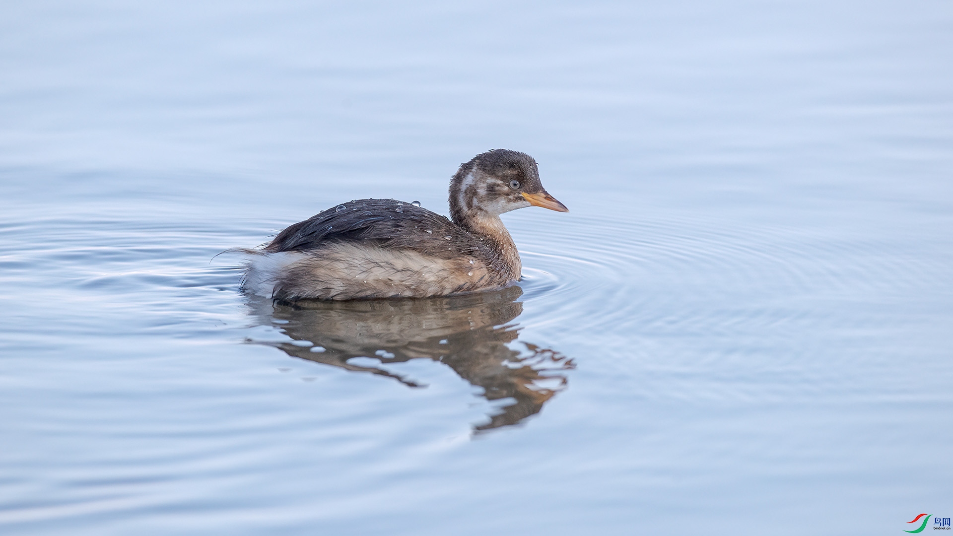 1DX_7748 ���� 2.jpg