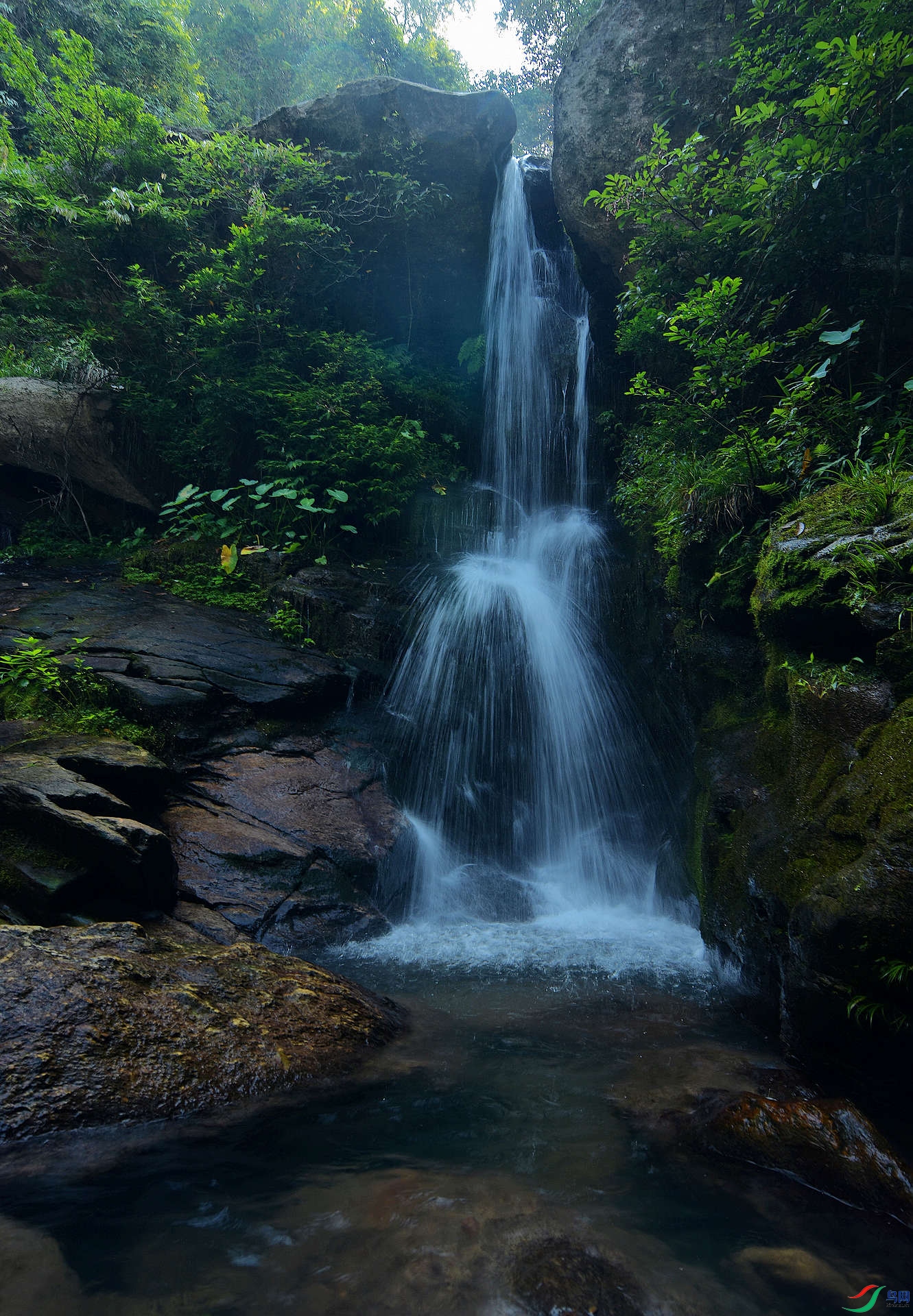 D72_9636.jpg