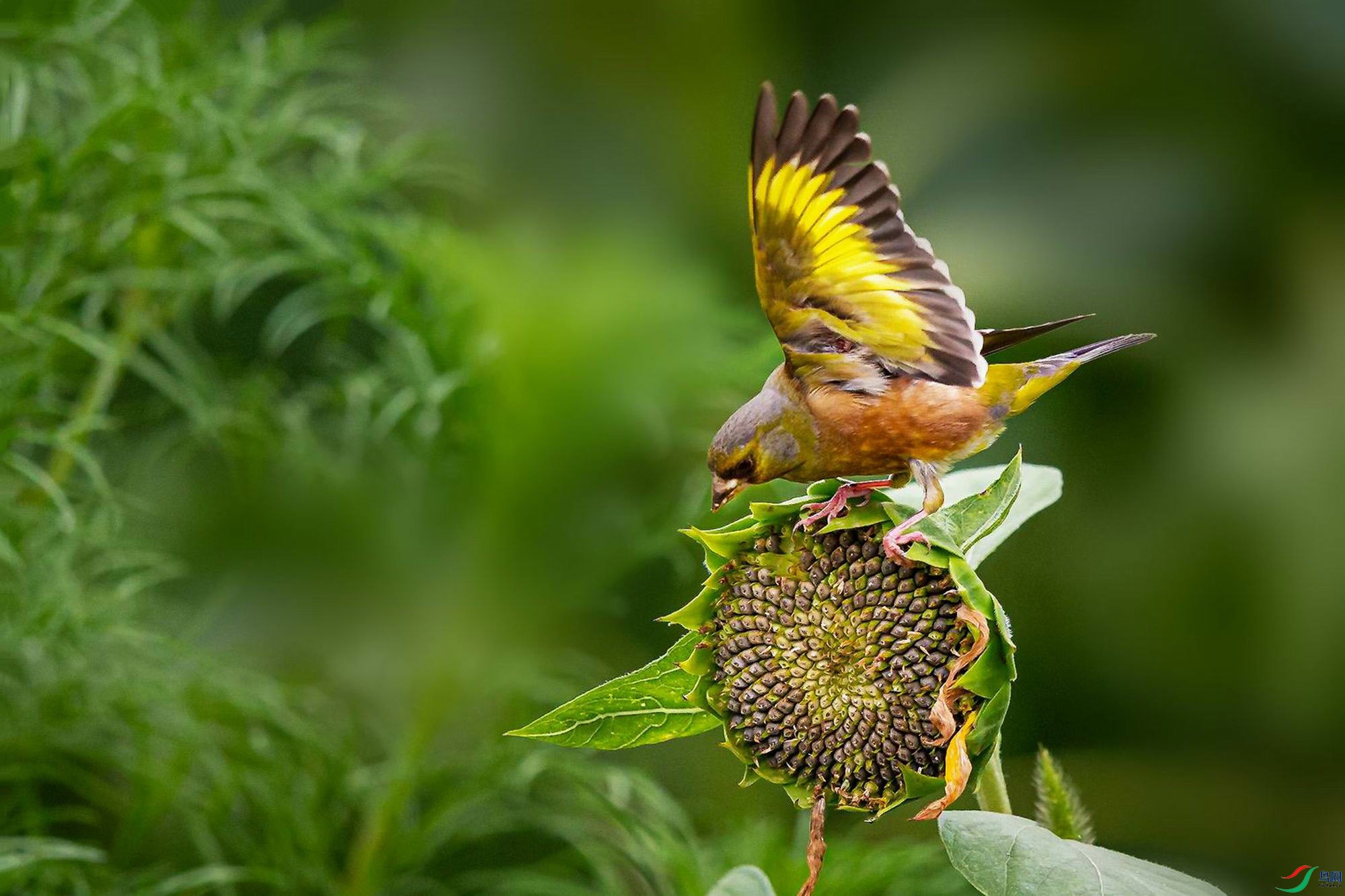 ���ȸ�� (4).jpg