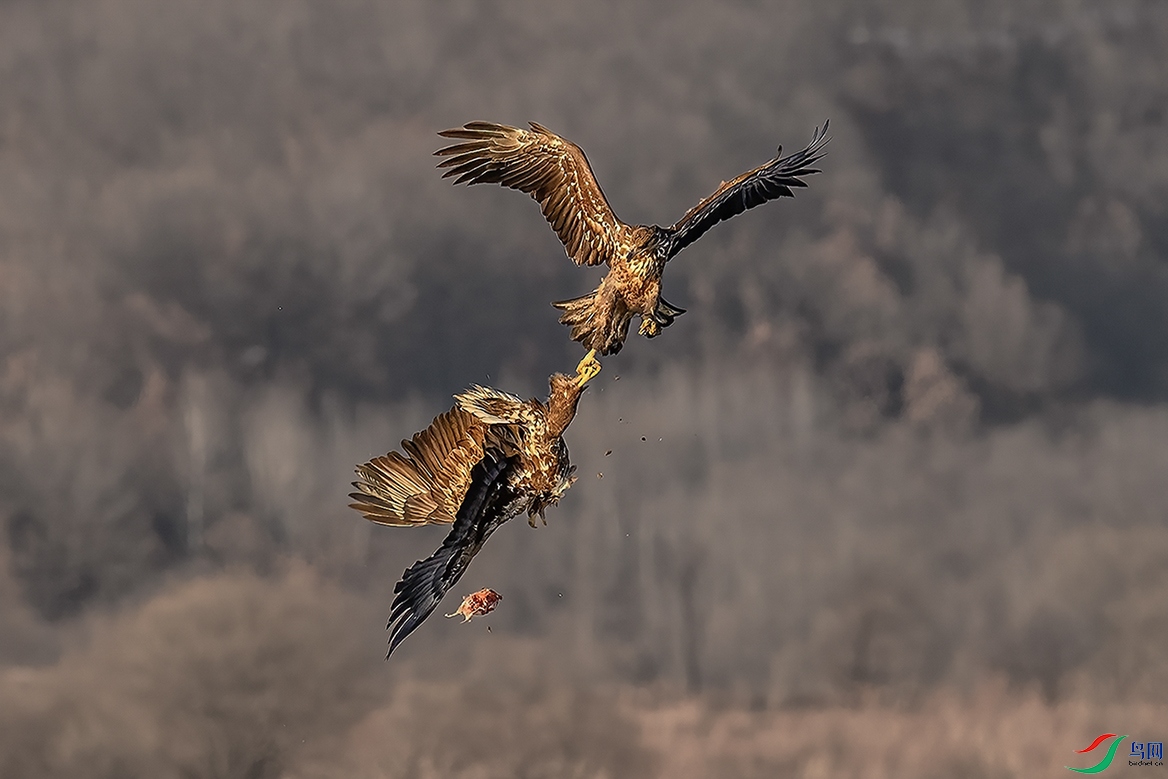 �����ڼ���������ɽ����