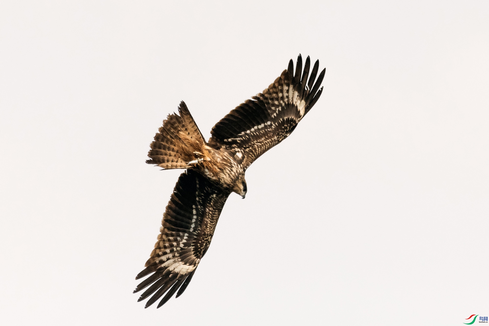 ��_AUU4585�����(21.2.28)-1.jpg