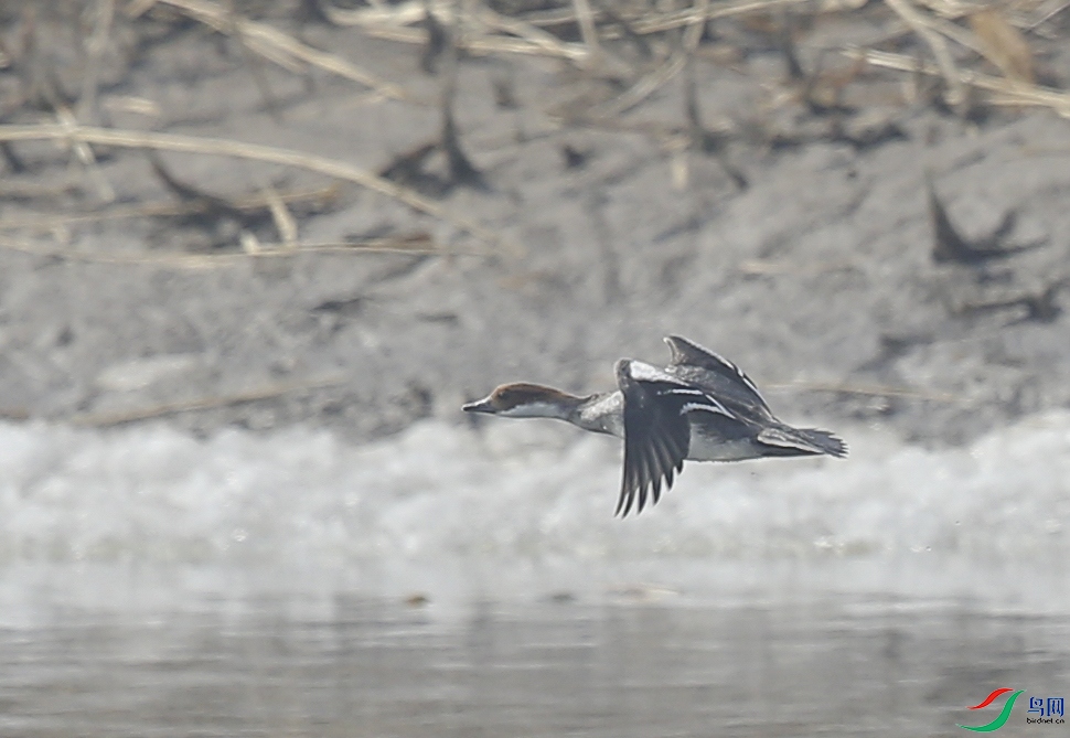 �����Ѻ� (35)����.jpg