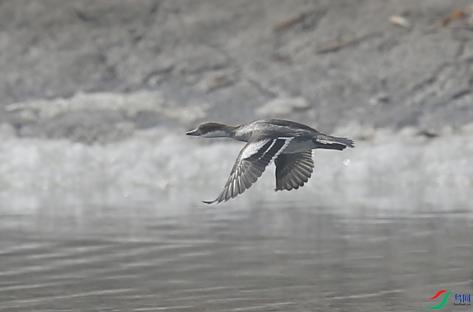 �����Ѻ� (38)����.jpg