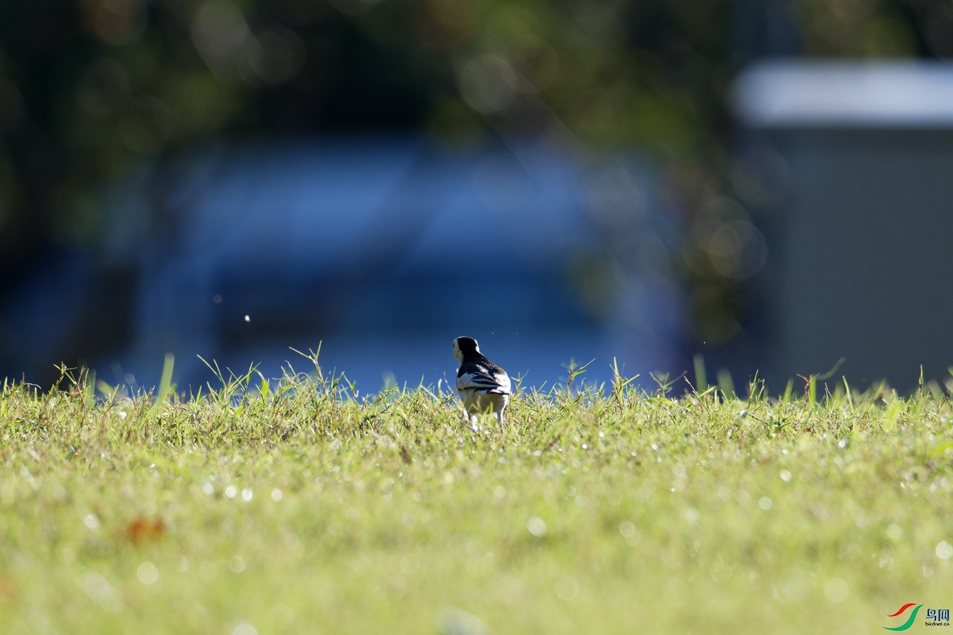 DSC_0051_resize.jpg