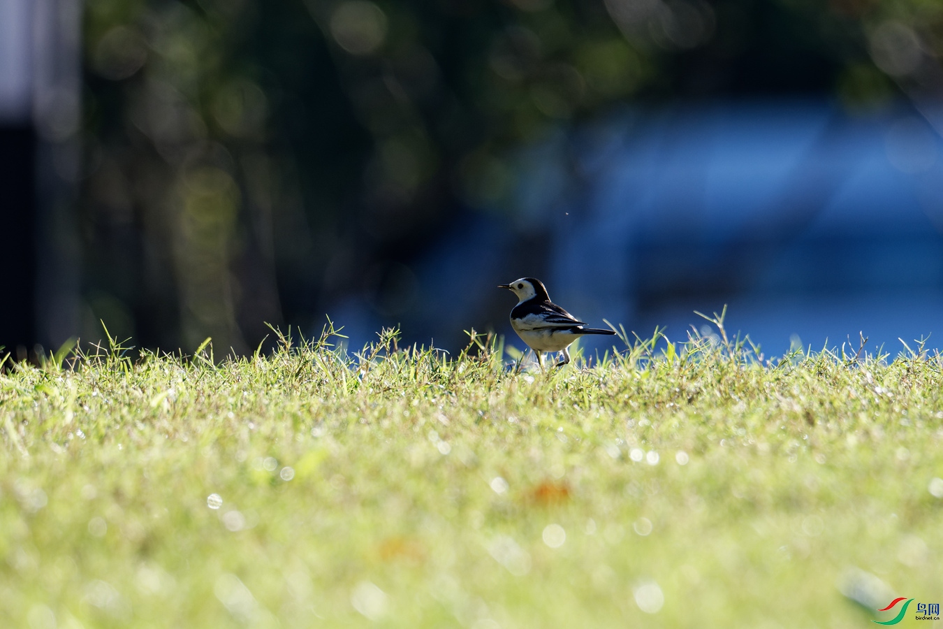 DSC_0056_resize.jpg