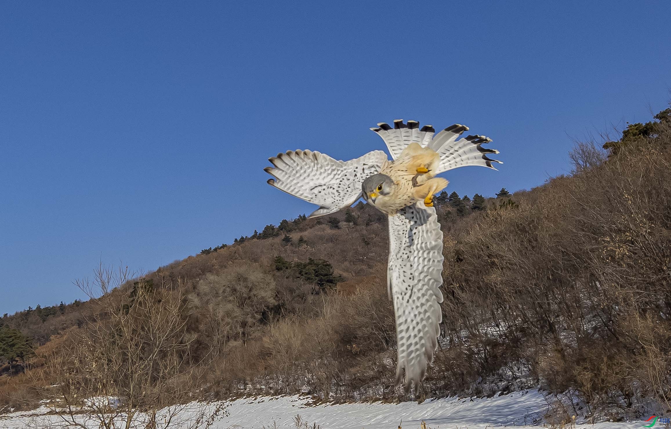 �����Ӿ�������