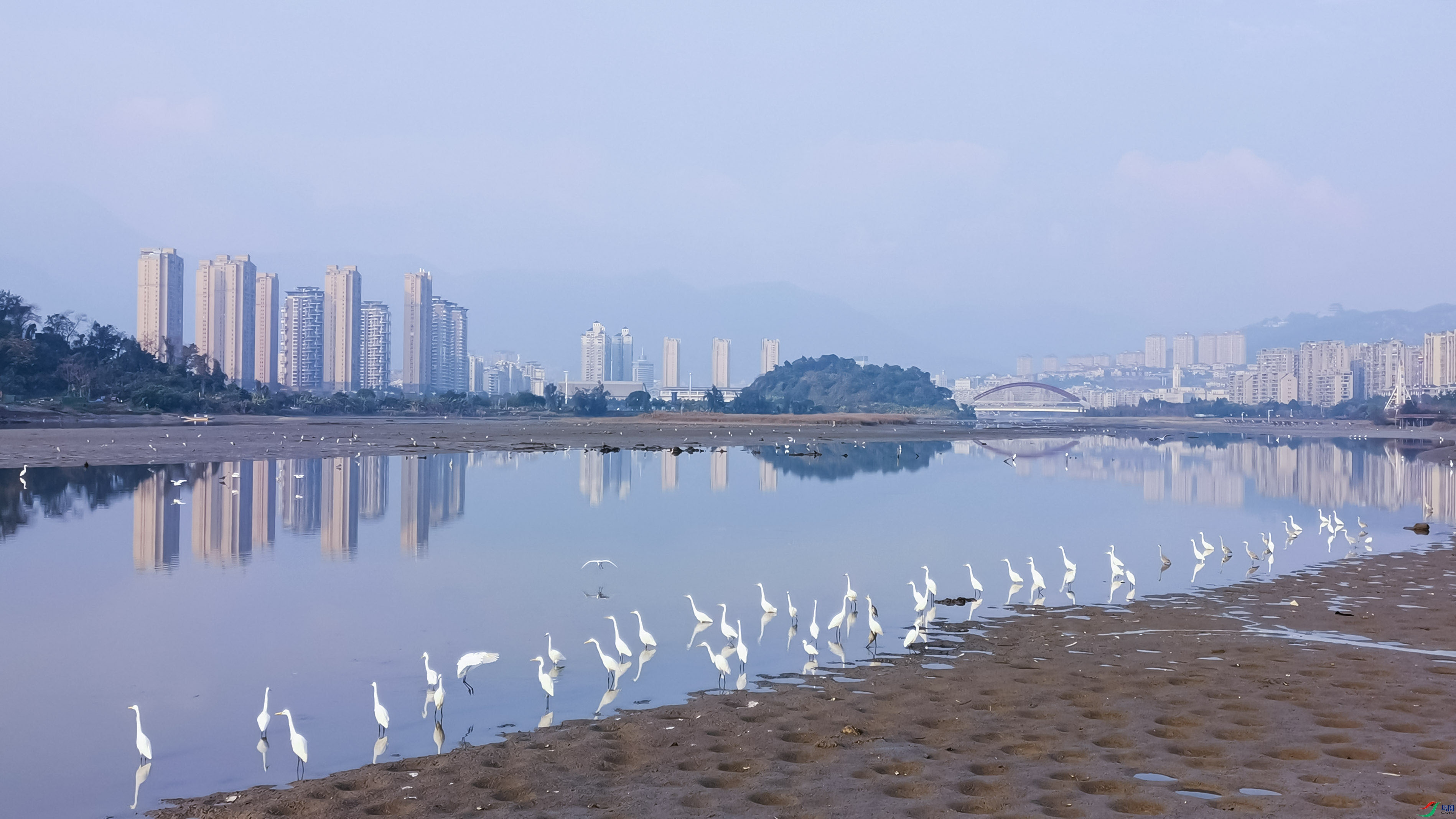 IMG_20210108_082843(1) ����.jpg