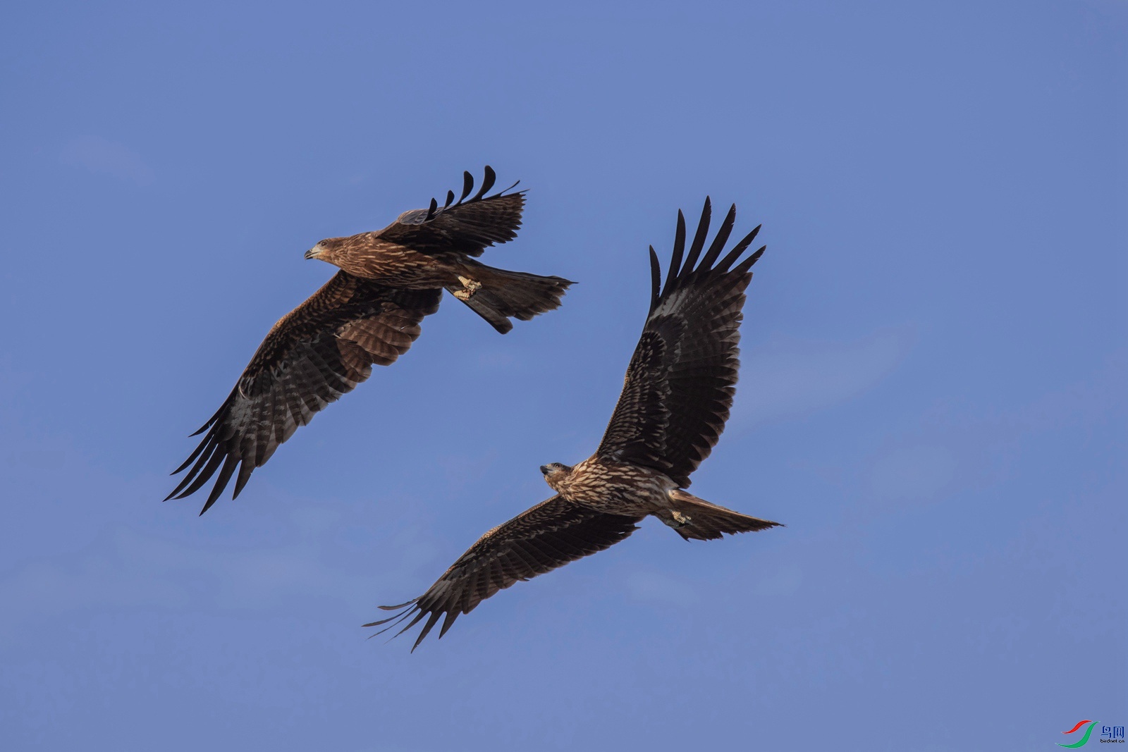 20210926-12- (65).jpg