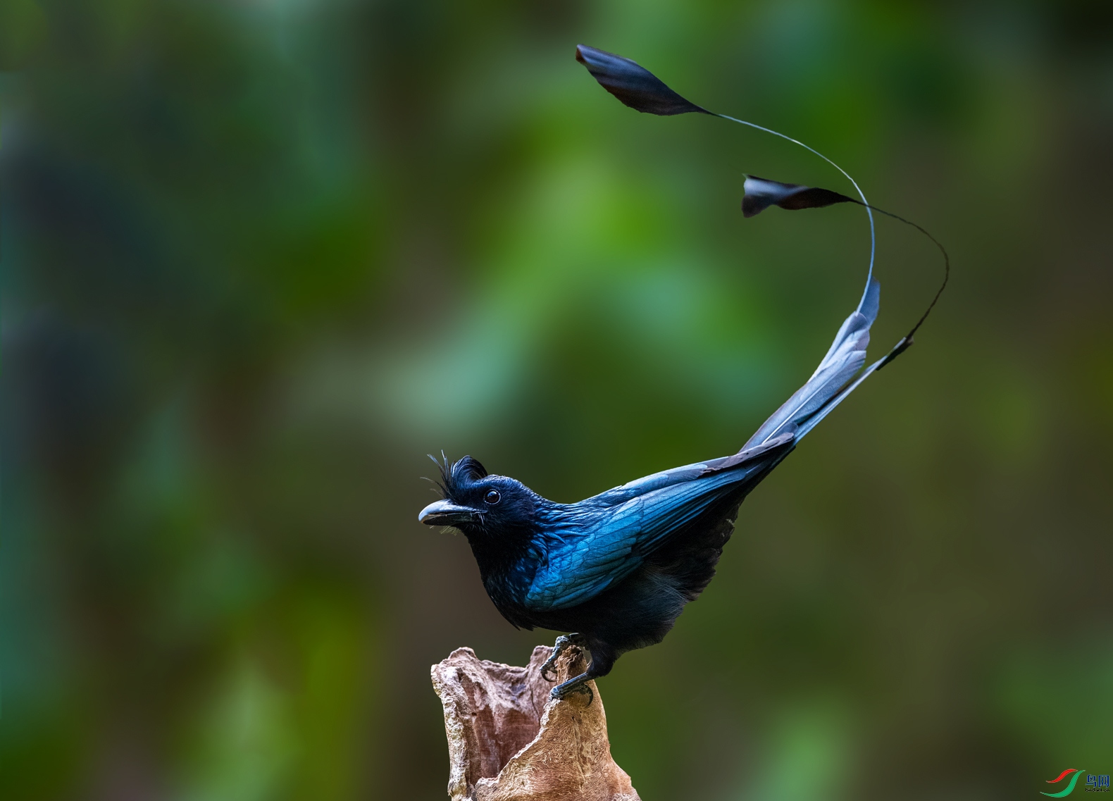 DSC_7356f.jpg