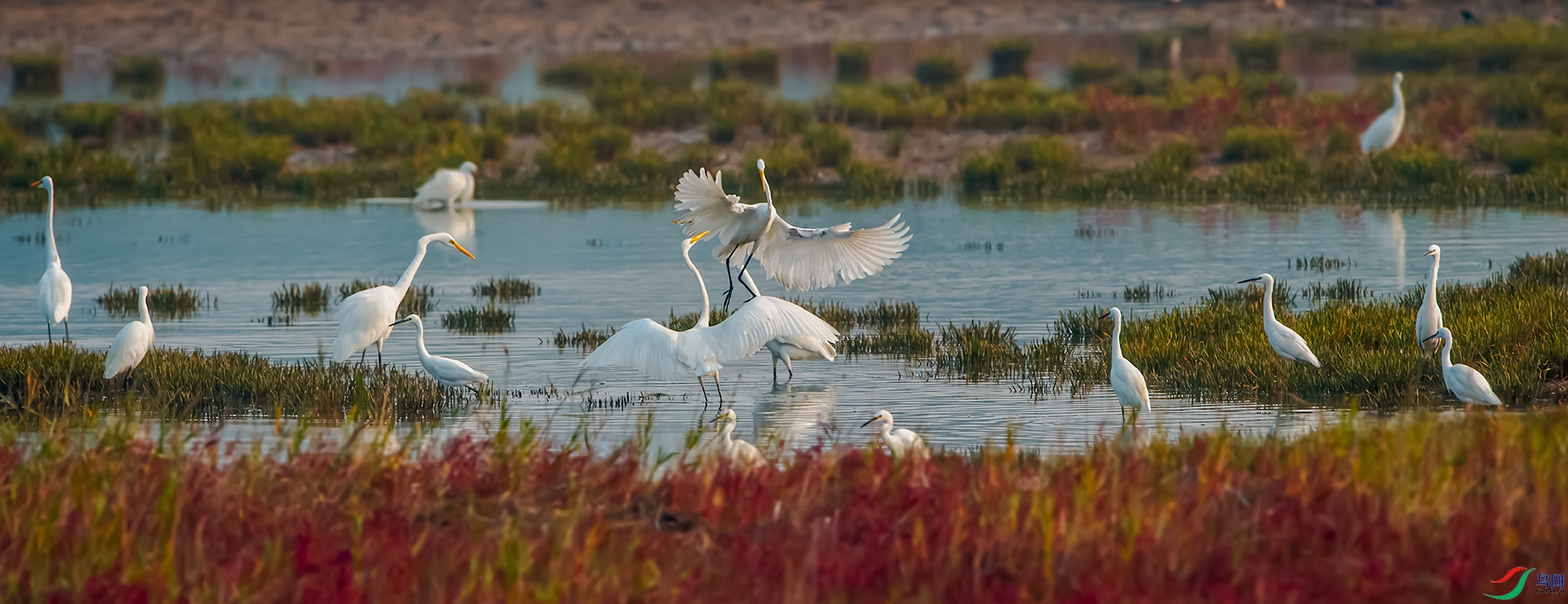 DSC_7786.jpg