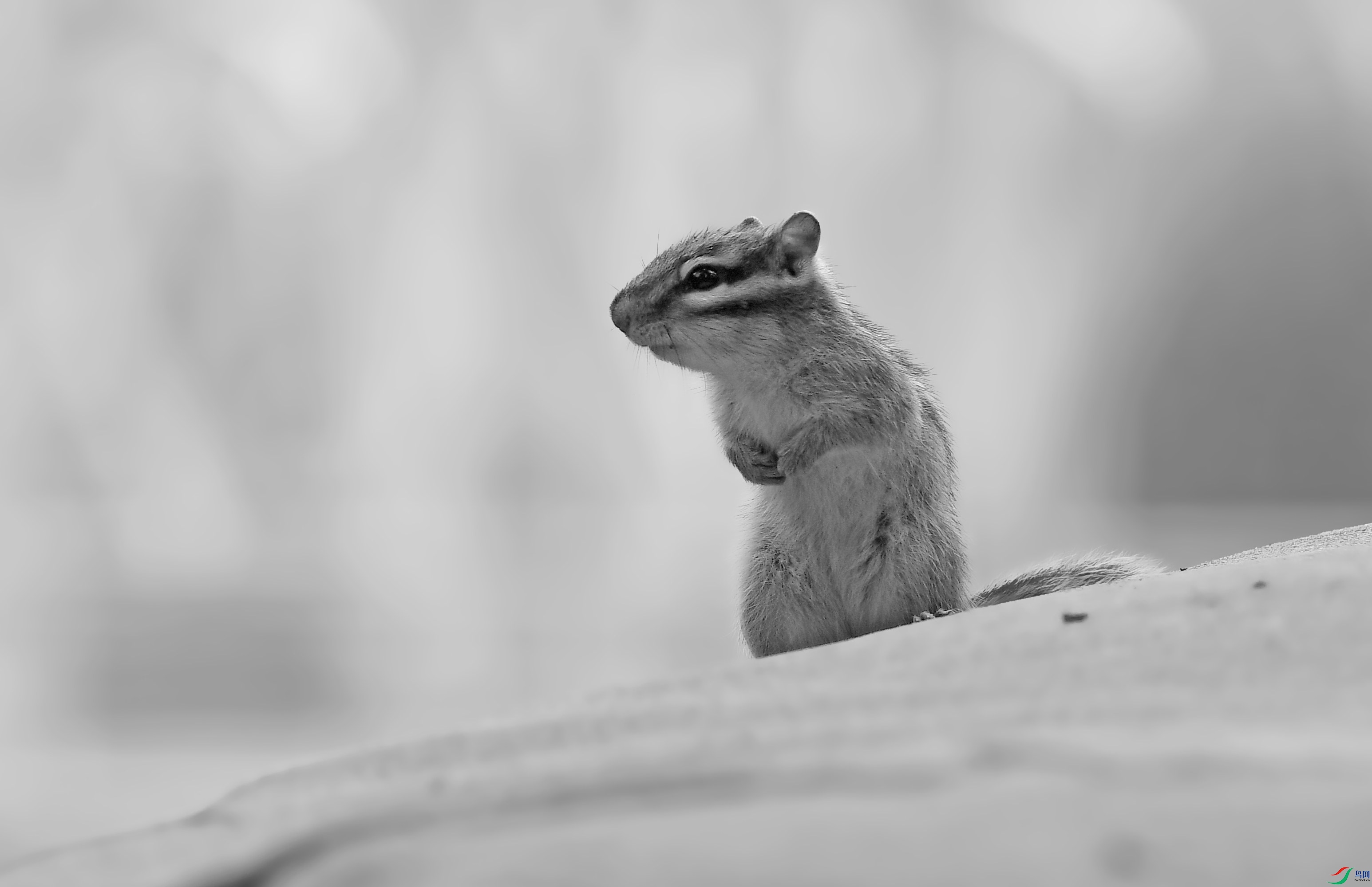 DSC_3375.JPG