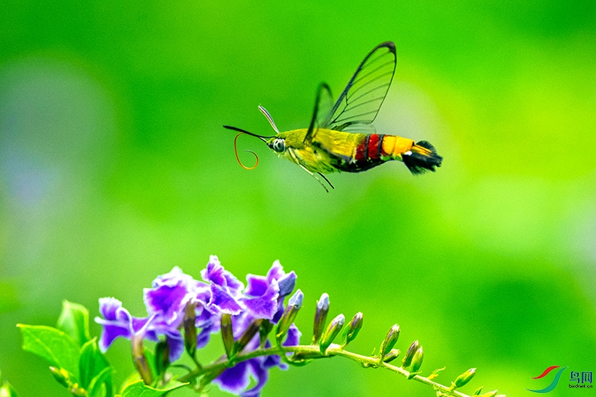 ��LPY_5535.jpg
