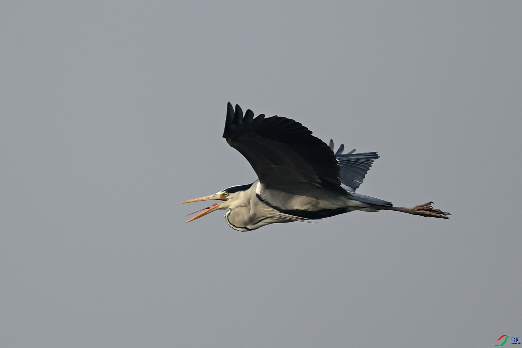 DSC_8629.jpg