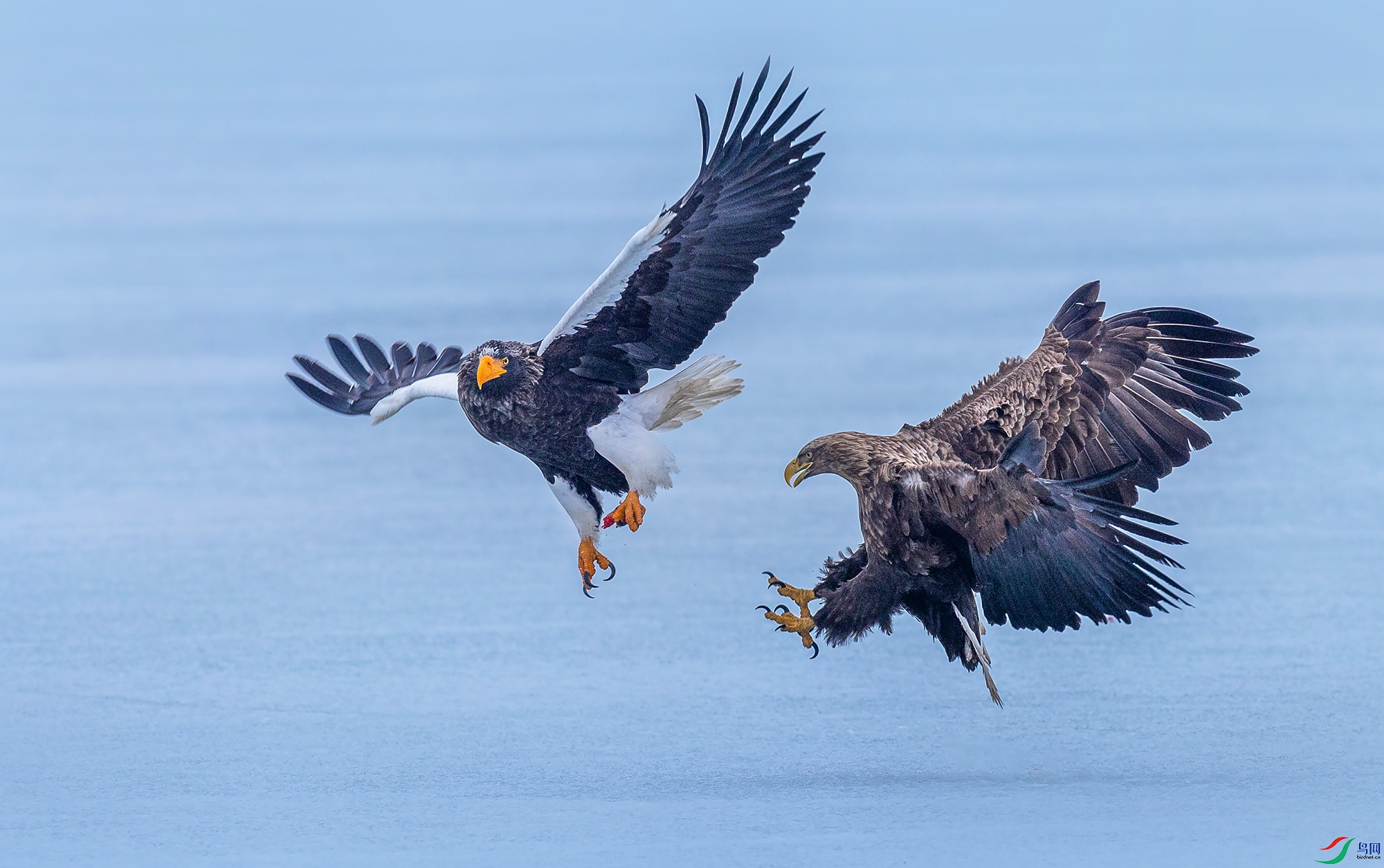 ��ͷ�������β����