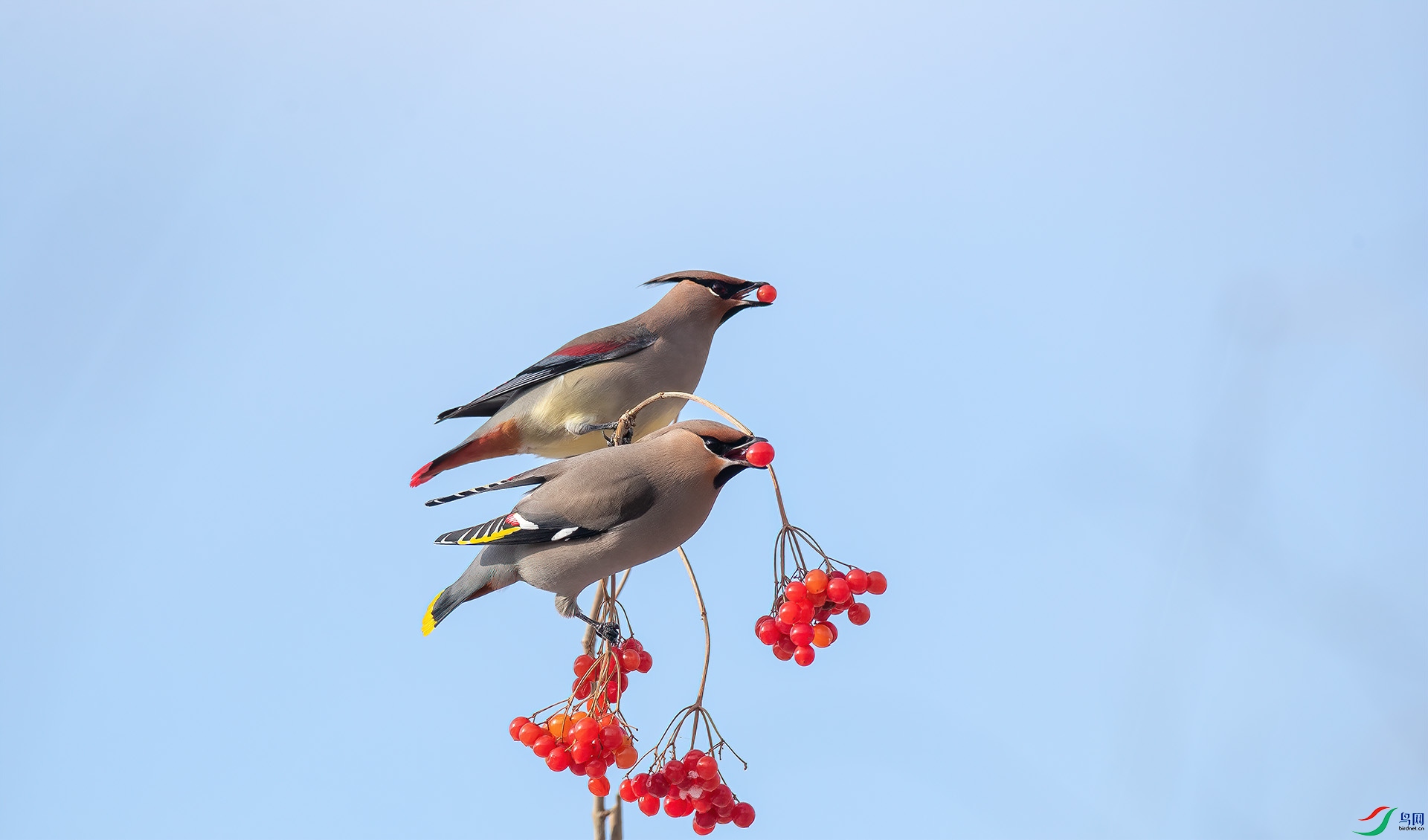 1DX_7834 ����.jpg