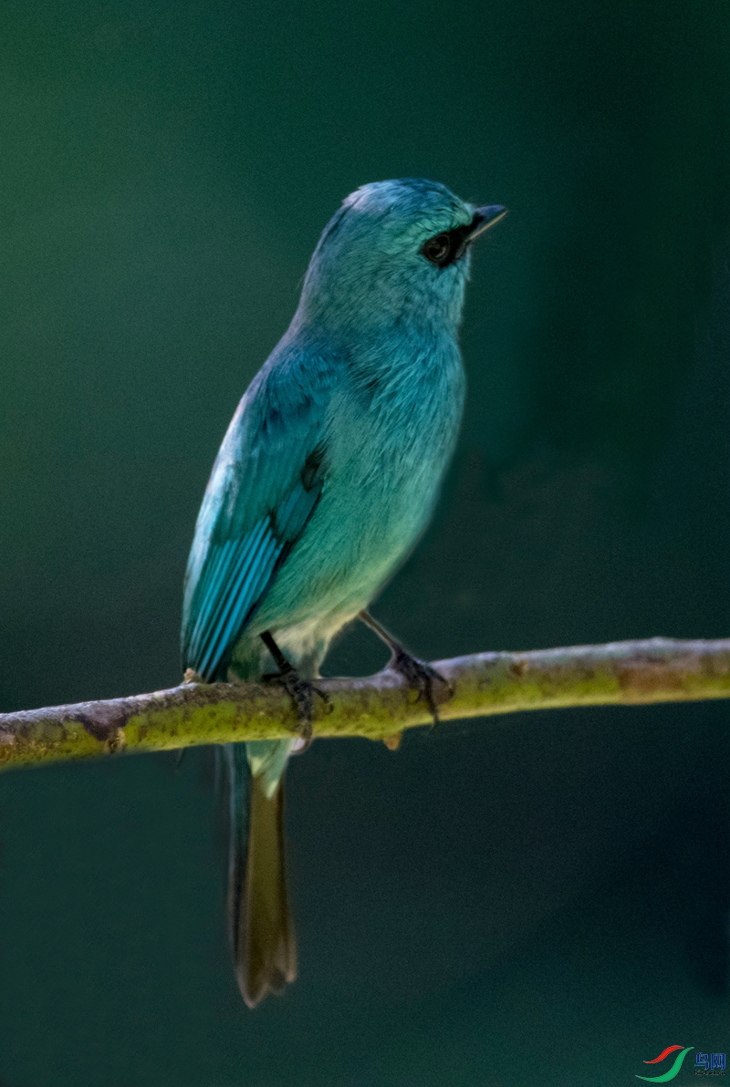 psc (2)_����.jpg