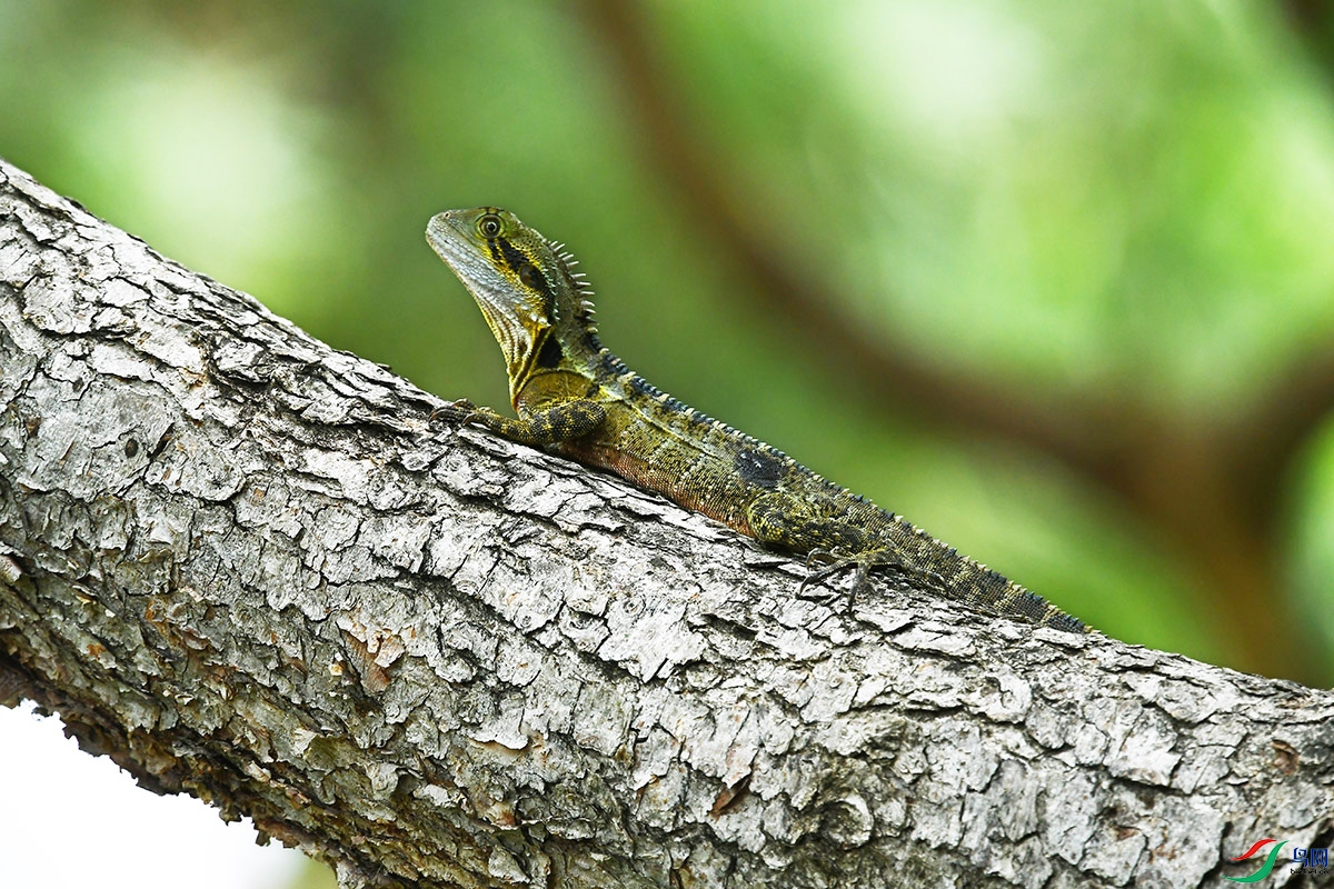 DSC_8476.JPG