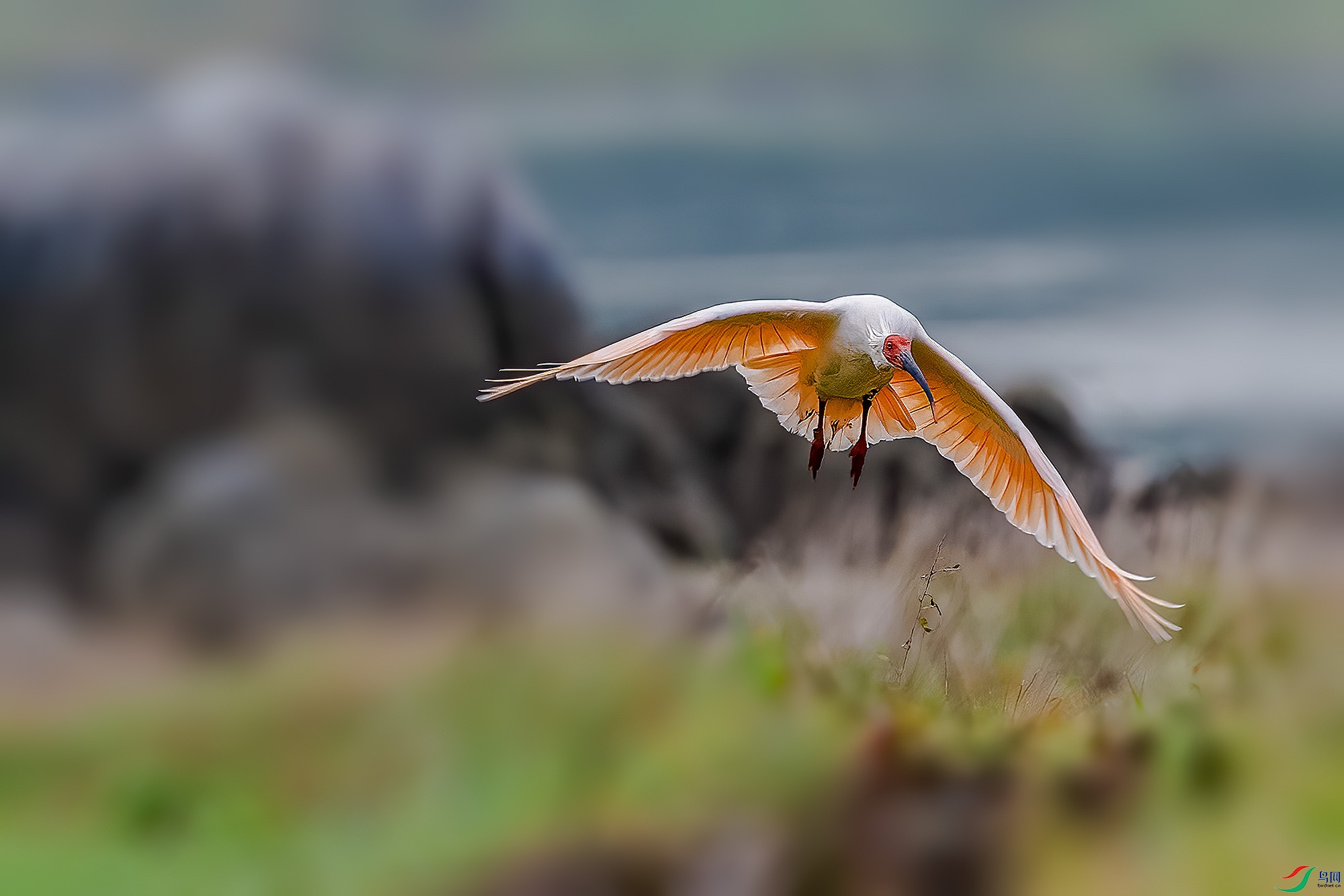 _DSC5265a ����.jpg