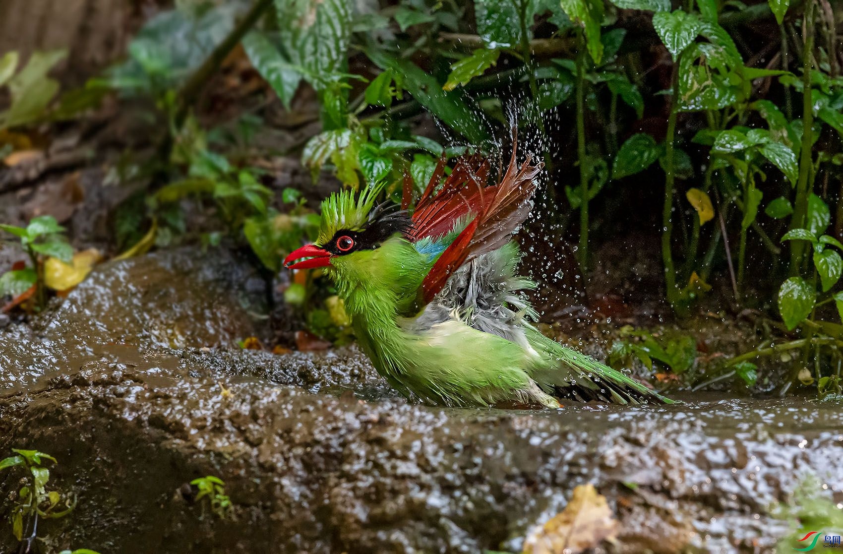 DSC_2925.jpg