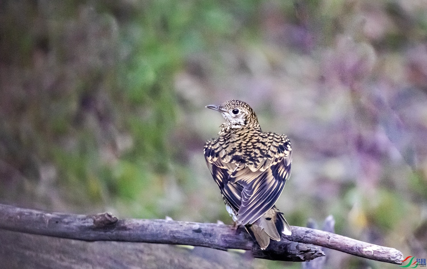 ��غ�һ  ��ʦ������ɽ��ʡ̫ԭ��0.jpg