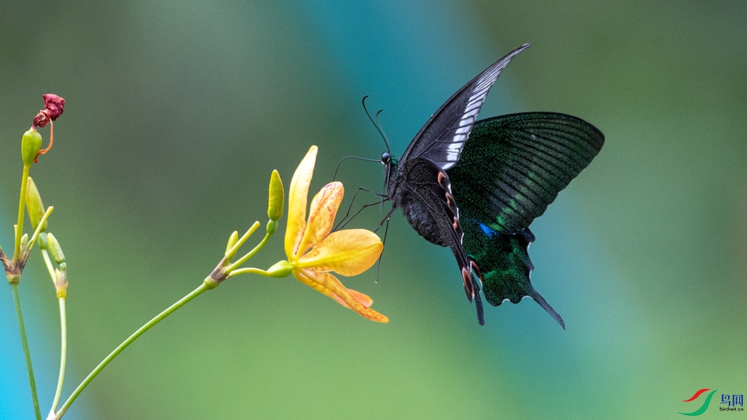 ��LPY_5627.jpg