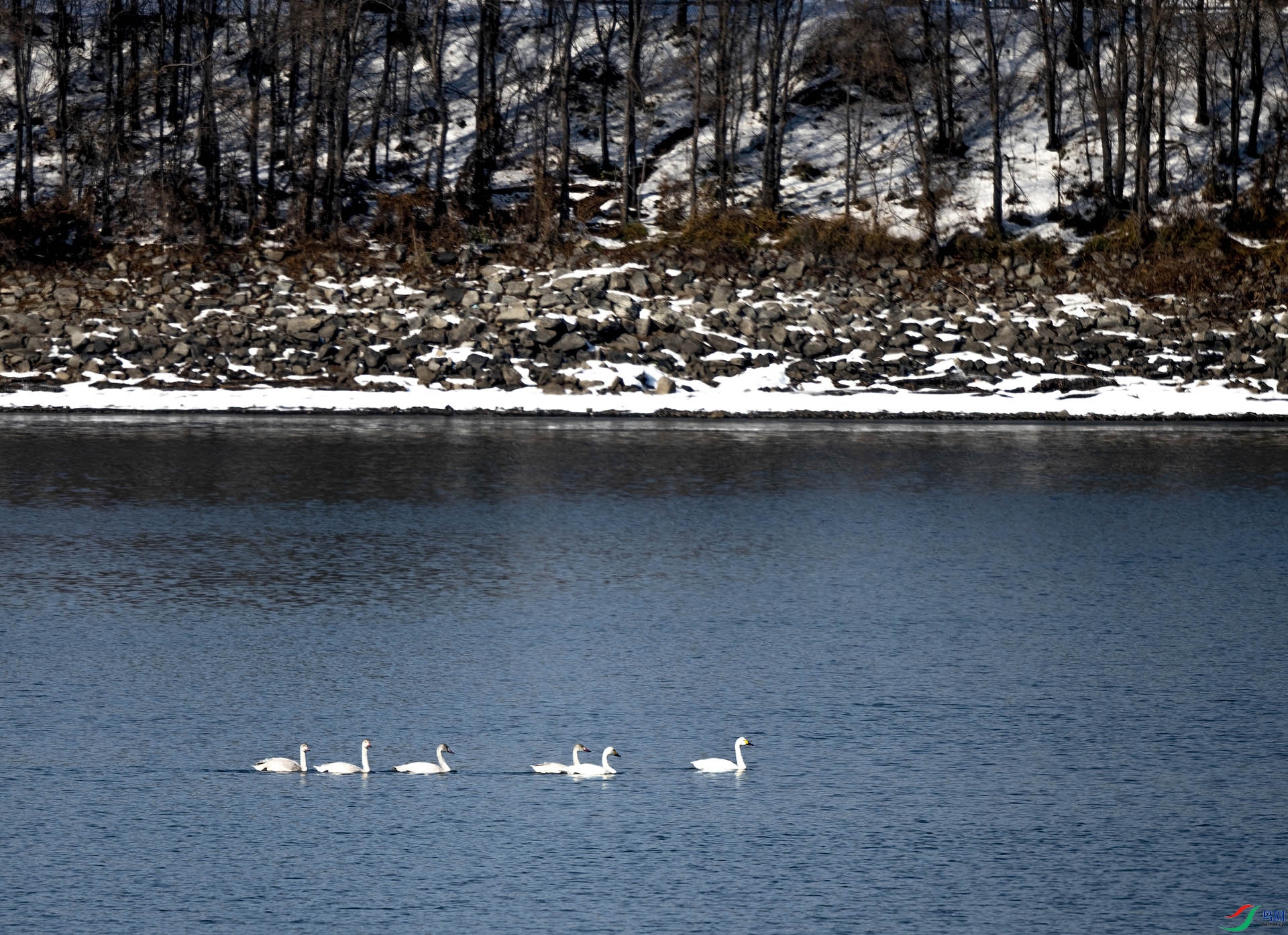 DSC_2138-DeNoiseAI-denoise.jpg