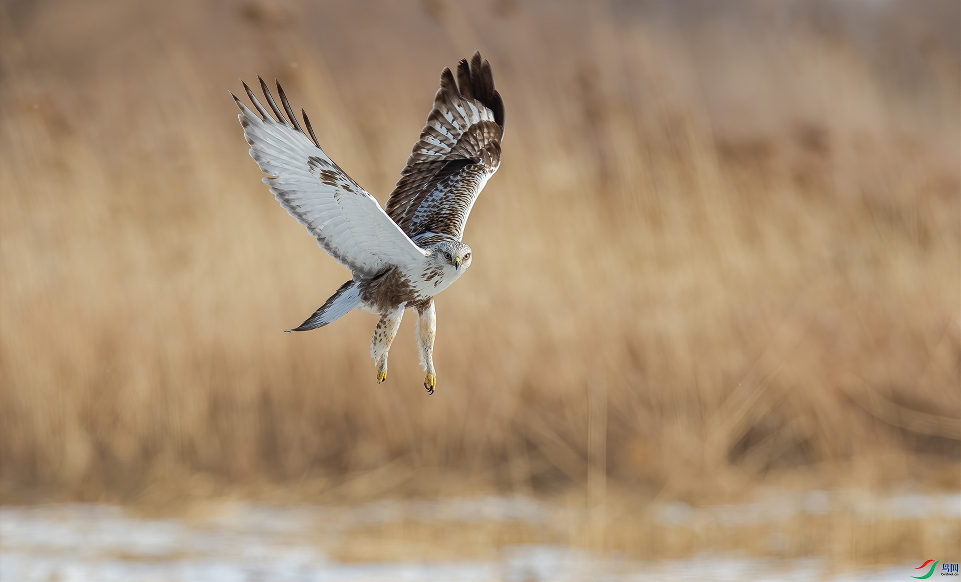 1DX_8891 ����.jpg