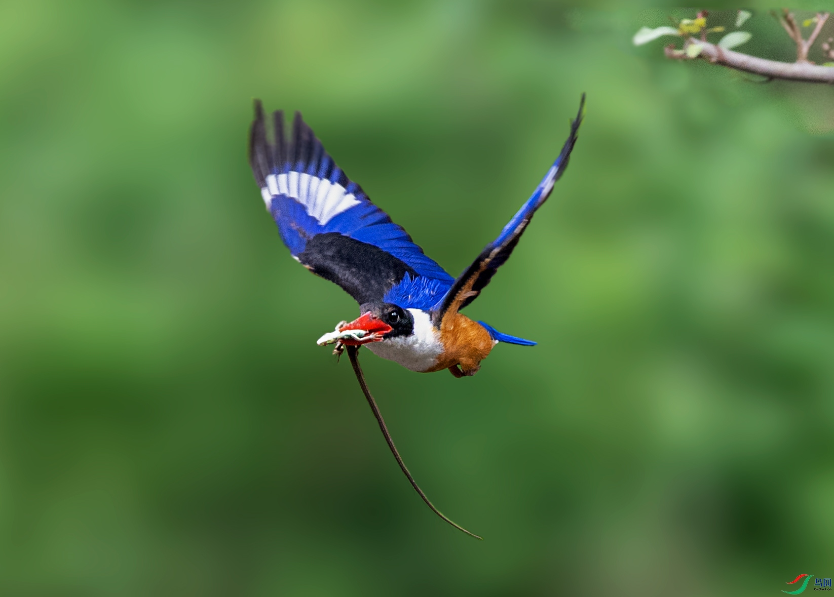 DSC_4224f.jpg