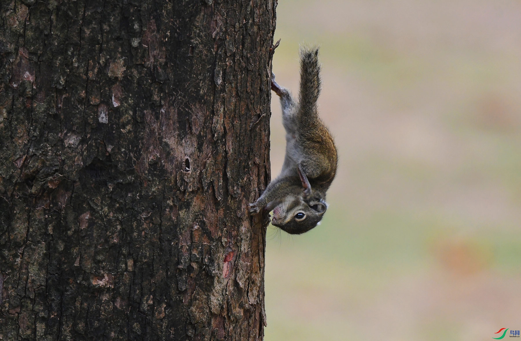 DSC_9634.JPG