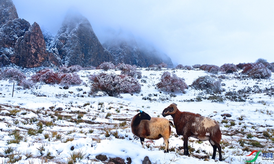 ���յ�����