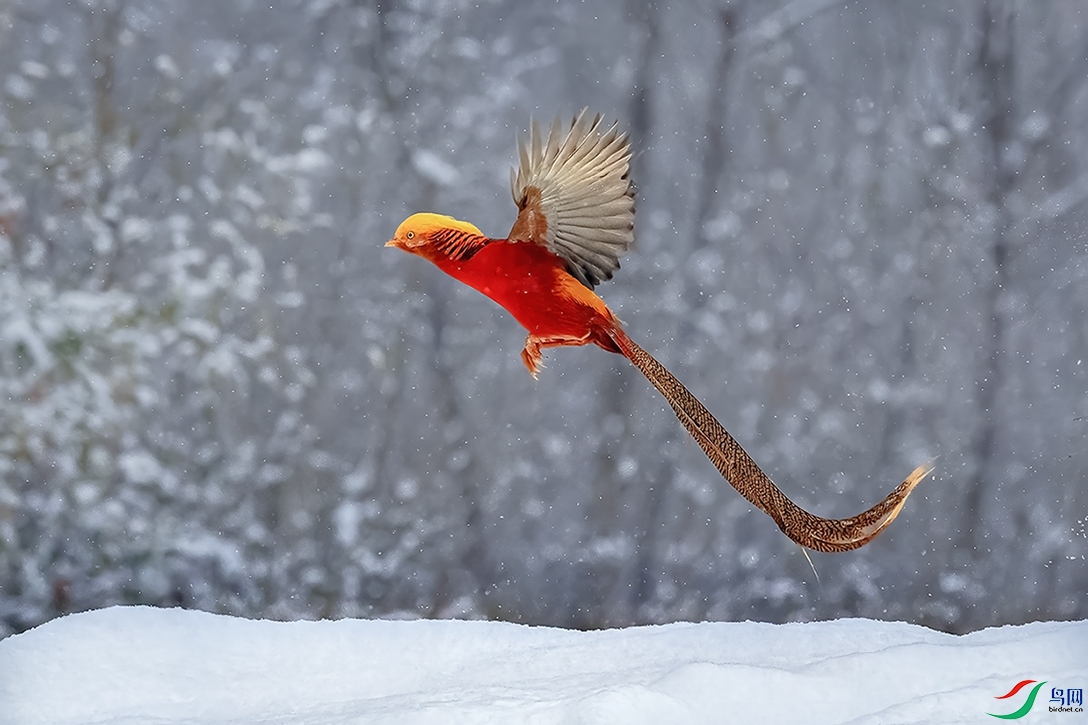 ������ƽ��ɽȪˮ�塣