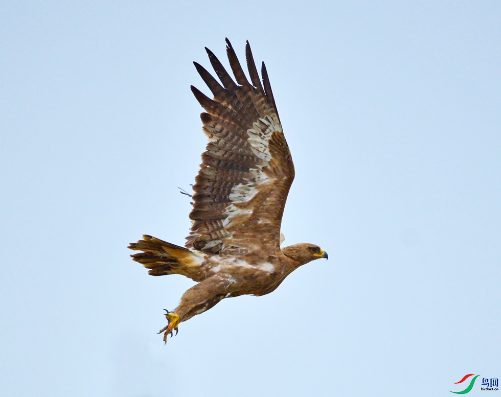 DSC_3715.jpg
