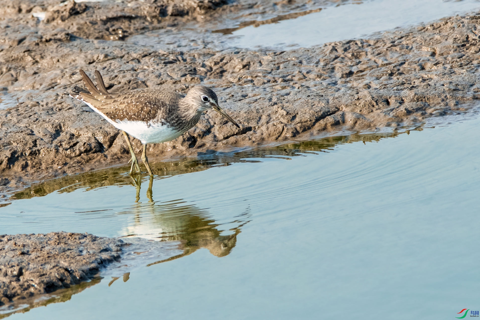 DSC_6105-1.jpg