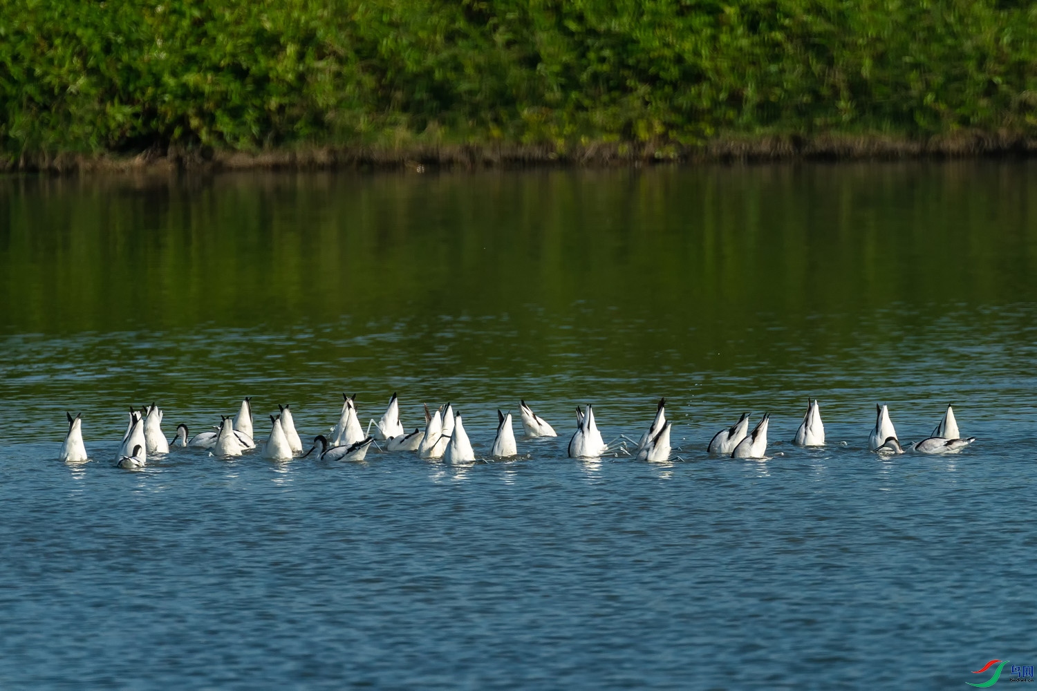 A9D01463-005.jpg