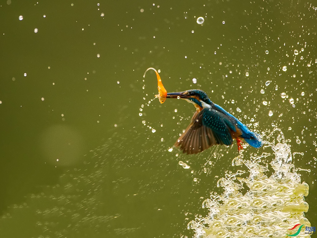 860-10.jpg