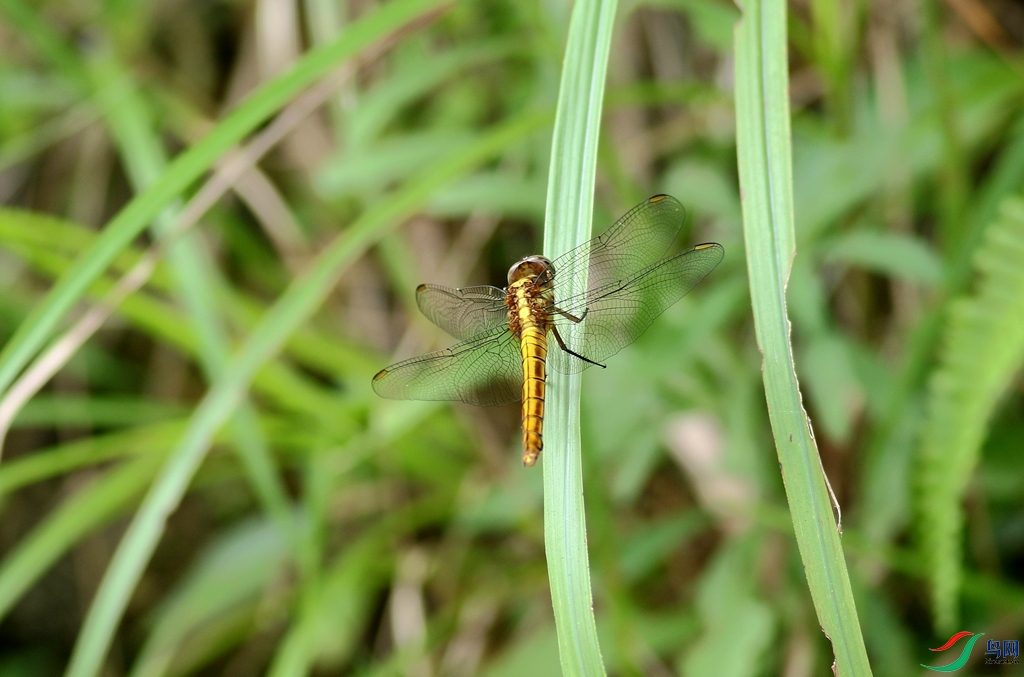 367A8605_����.jpg